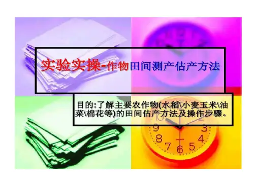 作物田间测产估产的方法28页PPT