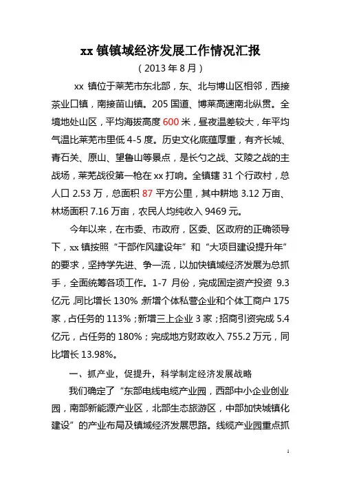 任健镇镇域经济发展工作情况汇报