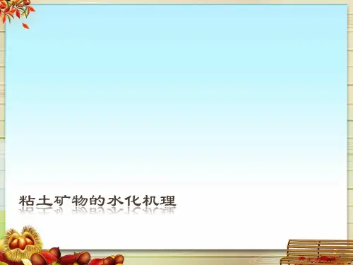 粘土矿物的水化机理
