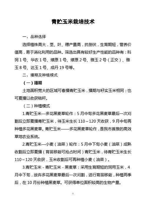 青贮玉米栽培技术