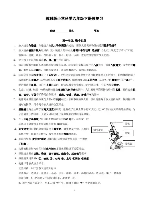 教科版小学科学六年级下册总复习