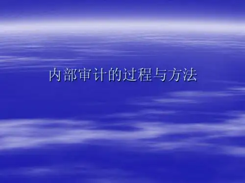 内部审计学(3)