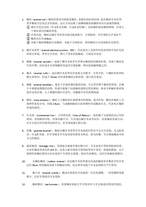 3牙体组织