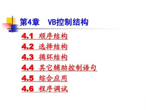 第4章 vb控制结构