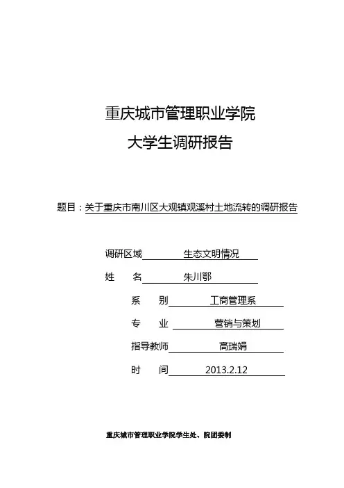 大学生调研报告