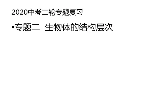 2020山东济南中考二轮专题复习 专题二生物体的结构层次课件(共36张PPT)