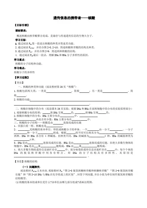 2019届高三生物第一轮复习《遗传信息的携带者——核酸》学案