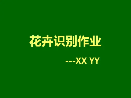 新版植物识别