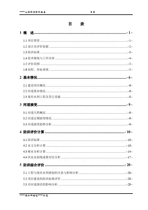 防洪评价报告(报批稿)