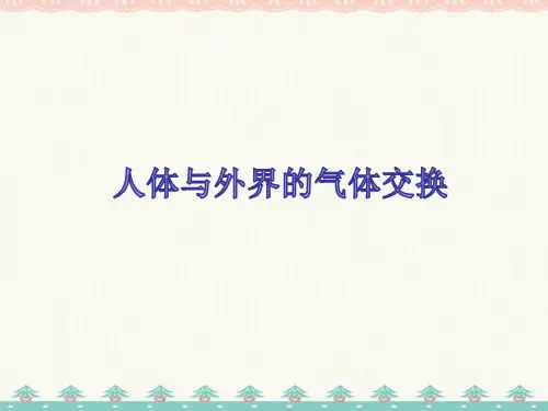 七年级生物下册 呼吸系统课件 新人教版