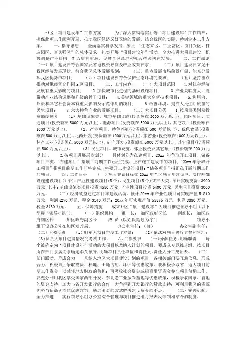 项目建设年工作方案
