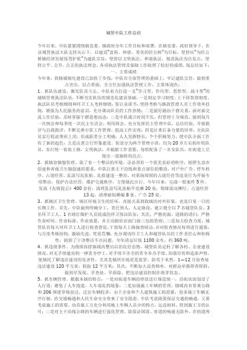 城管中队工作总结