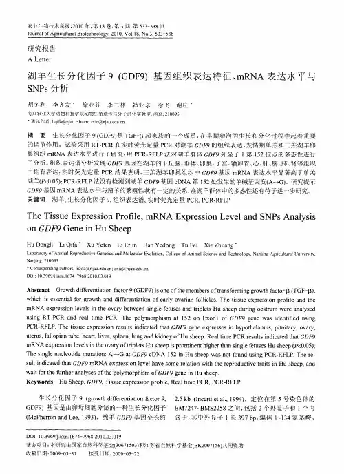 湖羊生长分化因子9(GDF9)基因组织表达特征、mRNA表达水平与SNPs分析
