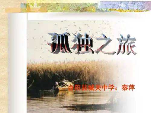 《孤独之旅》课件