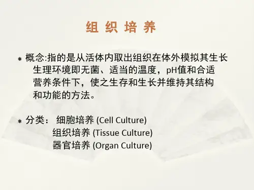 细胞培养