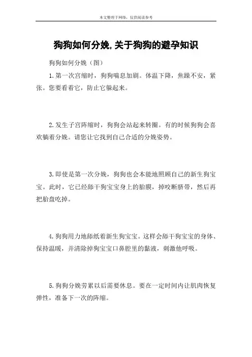 狗狗如何分娩,关于狗狗的避孕知识