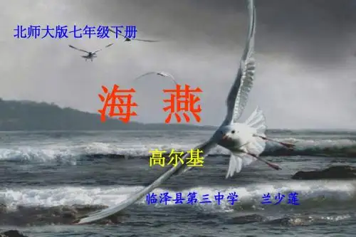 《海燕》PPT课件(用)
