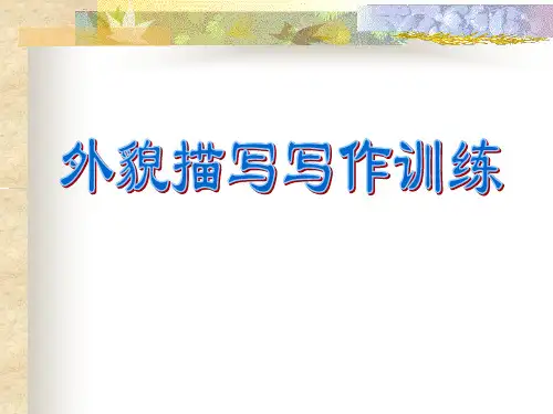 外貌描写写作训练1