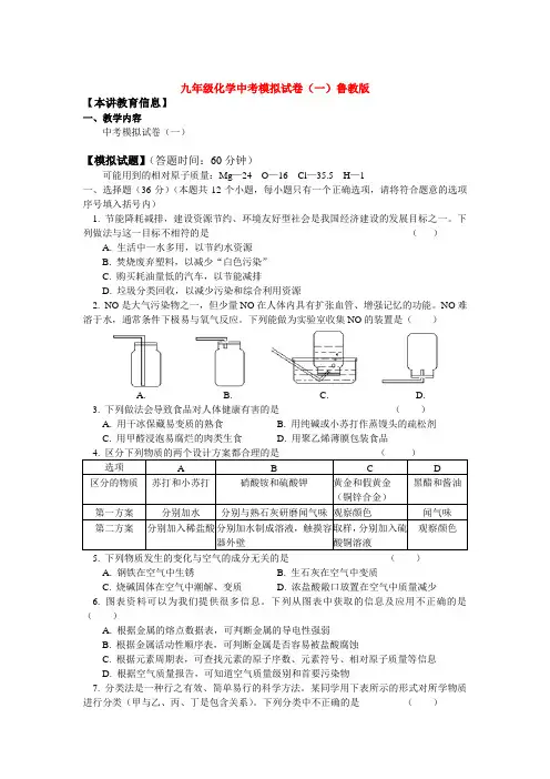 九年级化学中考模拟试卷(一)鲁教版