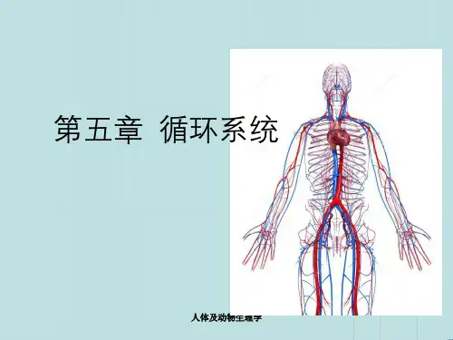 人体及动物生理学