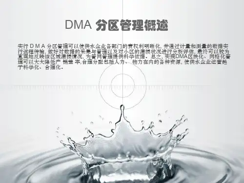 DMA 分区管理概述ppt课件