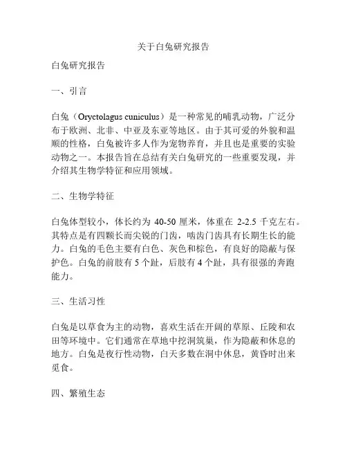 关于白兔研究报告