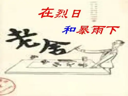 07在烈日和暴雨下两课时