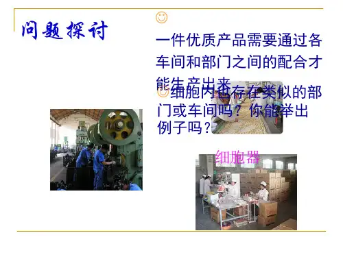 高中生物第一轮复习-3.2细胞器—系统内的分工合作