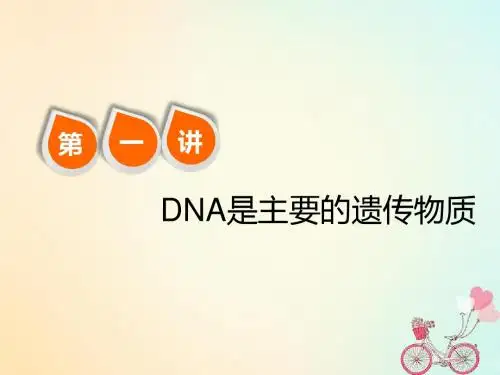 2019版高考生物一轮复习第六单元基因的本质与表达第一讲DNA是主要的遗传物质精盐件