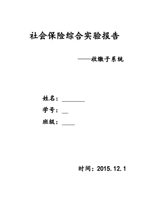 社会保障实验报告