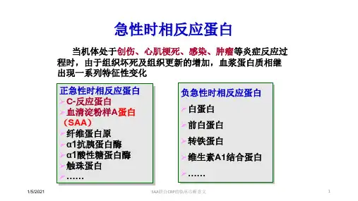SAA联合CRP的临床诊断意义