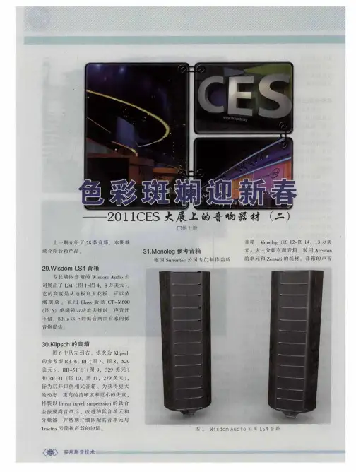 色彩斑斓迎新春--2011CES大展上的音响器材(二)