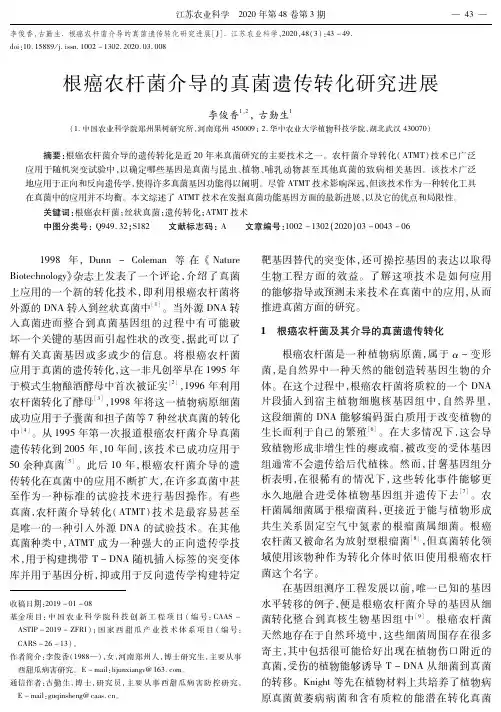 根癌农杆菌介导的真菌遗传转化研究进展