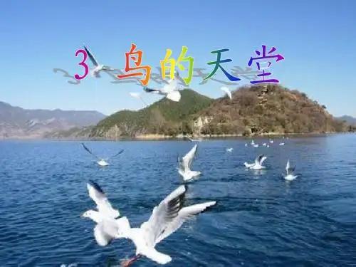 3、鸟的天堂PPT(人教版语文四年级上册)