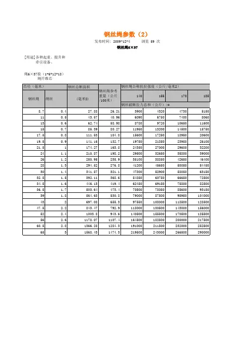 钢丝绳拉力表
