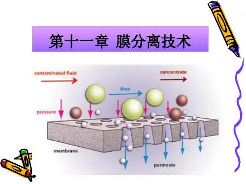 生物制药学——第十一章 膜分离技术