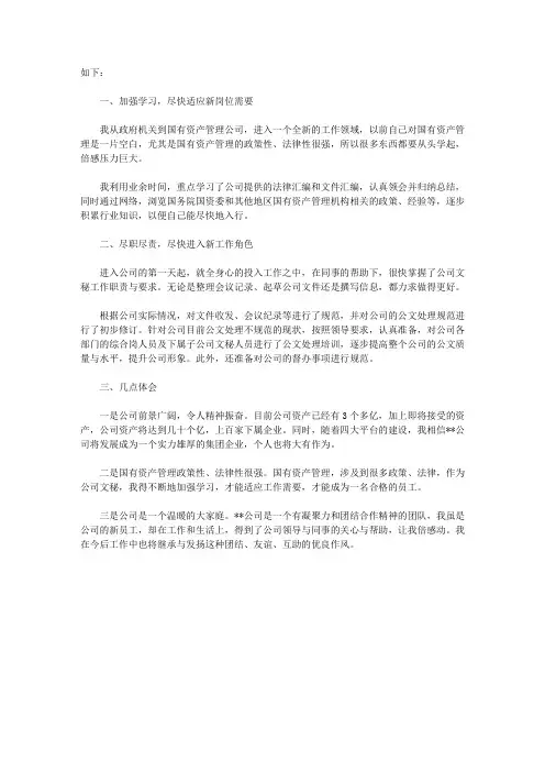 公司新员工个人工作总结 2