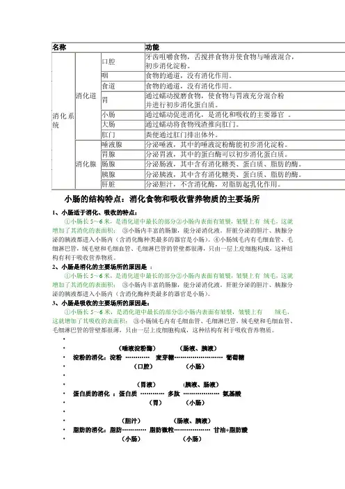 列表：消化系统的结构和功能