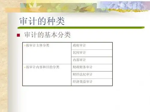 审计简介