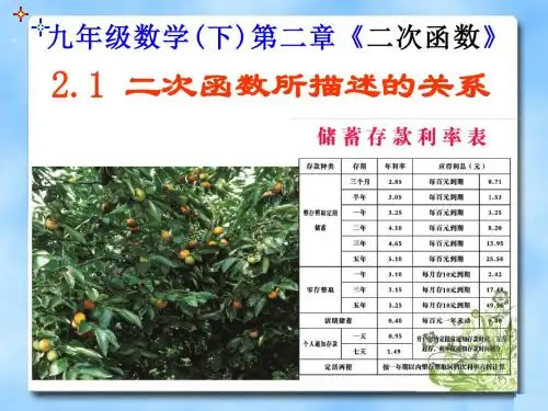 新北师大九年级下2.1 二次函数所描述的关系