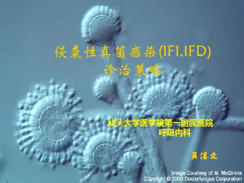 侵袭性真菌感染(ifi,ifd)的诊治策略.ppt