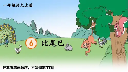 最新部编版人教版一年级语文上册《比尾巴》精品教学课件
