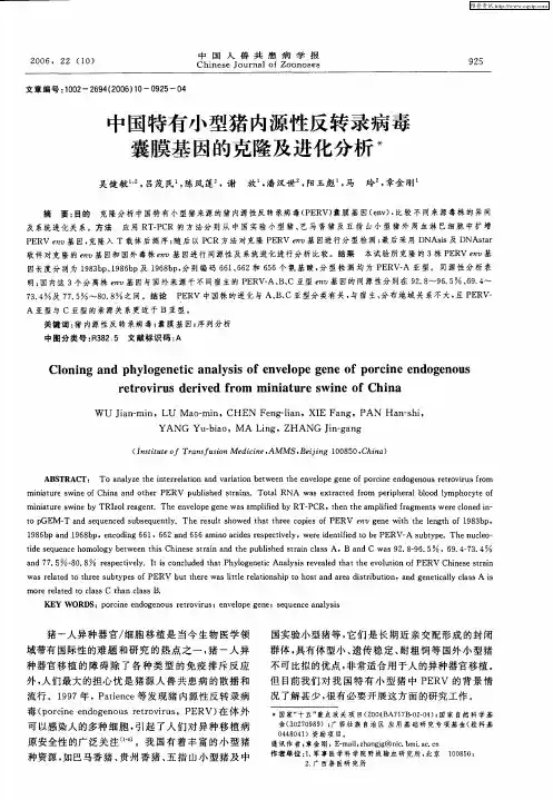 中国特有小型猪内源性反转录病毒囊膜基因的克隆及进化分析