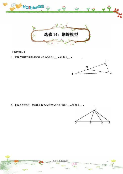 几何蝴蝶模型