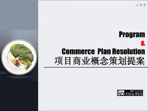 大连项目商业策划提案(终)