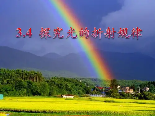 初中物理《探究光的折射规律》(共25张)ppt