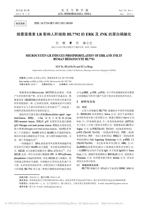 微囊藻毒素LR影响人肝细胞HL7702的ERK及JNK的蛋白磷酸化