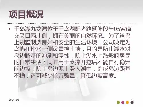 项目管理案例作业PPT幻灯片