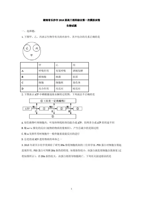 生物试卷
