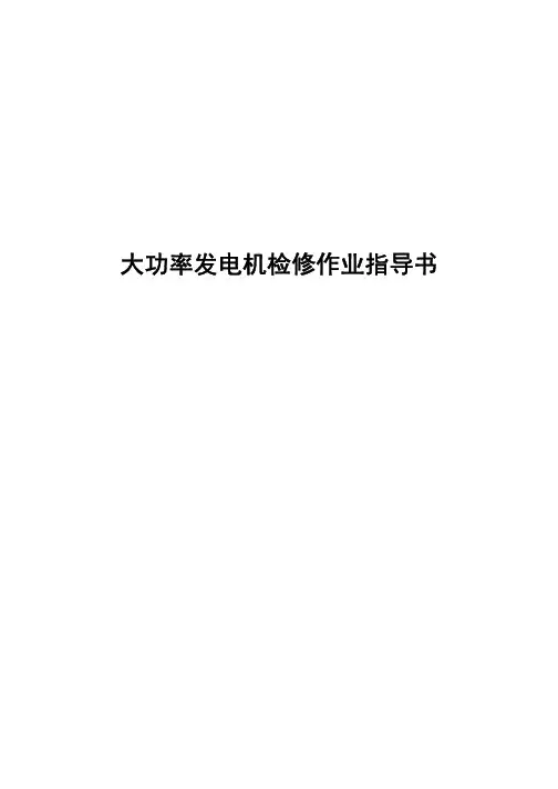 大功率发电机检修作业指导书
